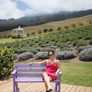 Lick My Spoon | Maui Edition: Ali’i Kula Lavender Farm